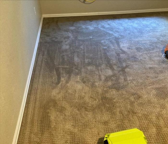 Wet carpet in an office.