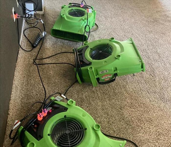 Three green air movers on carpeted floor.