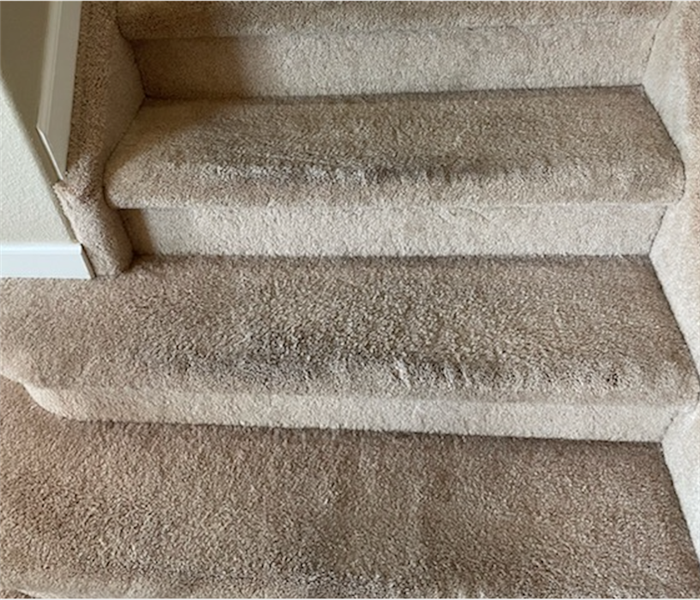Stairs with dirty carpeted steps.